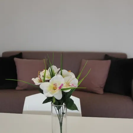 La Casa Sul Appartement *